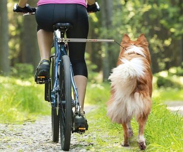 bicycle-dog-leash