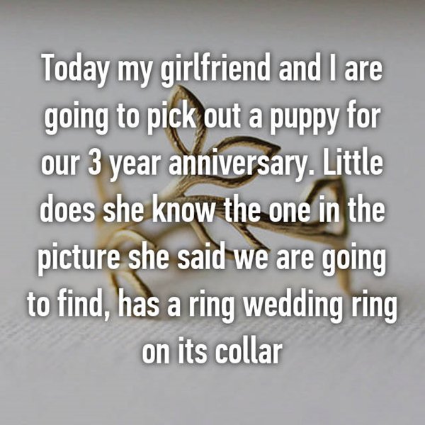 anniversary-surprises-puppy-ring