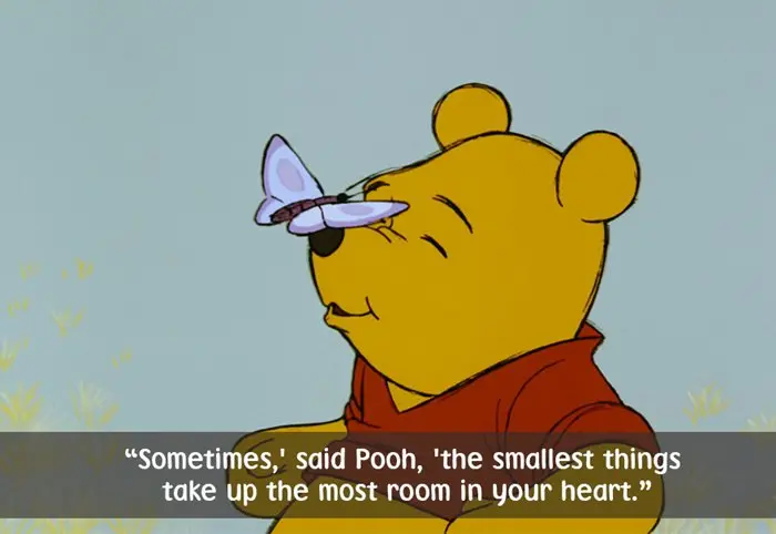 best-winnie-the-pooh-quotes-smallest-things