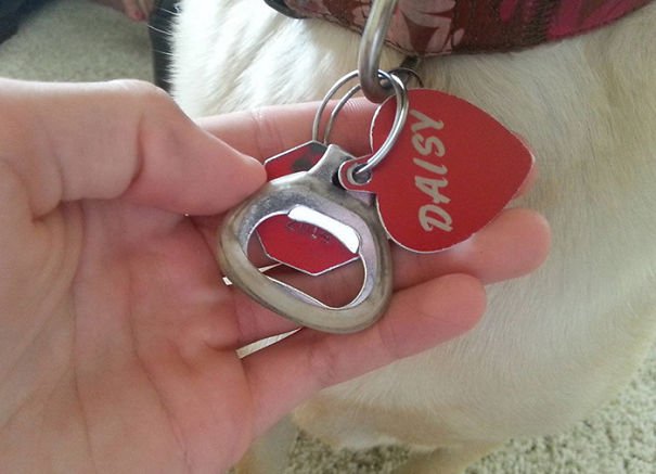 bottle opener