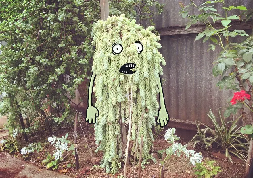 bush-monster