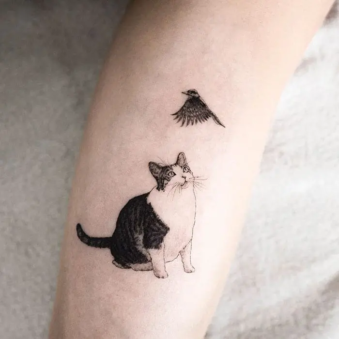 cat-and-bird