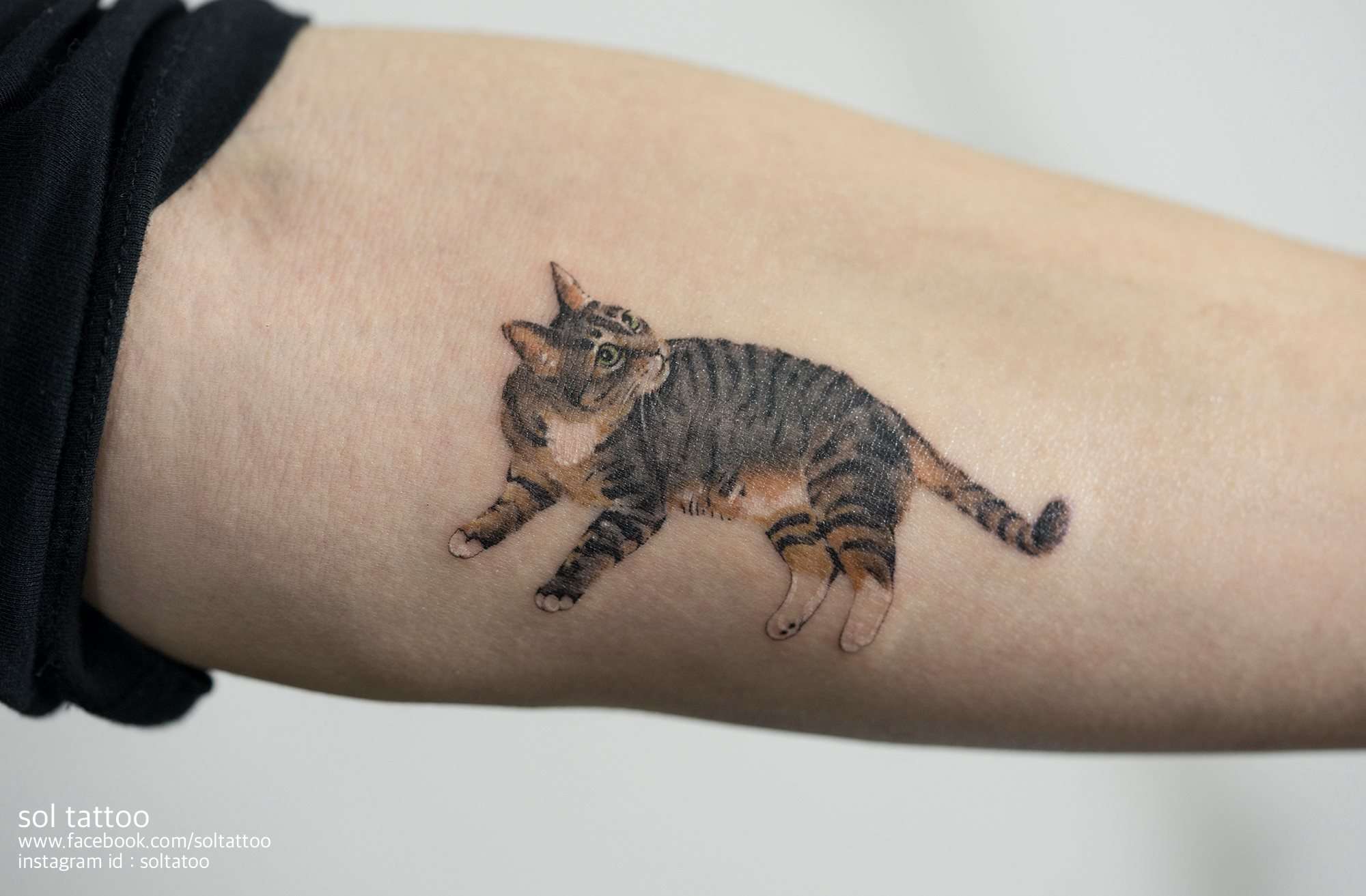 cat looking arm tattoo