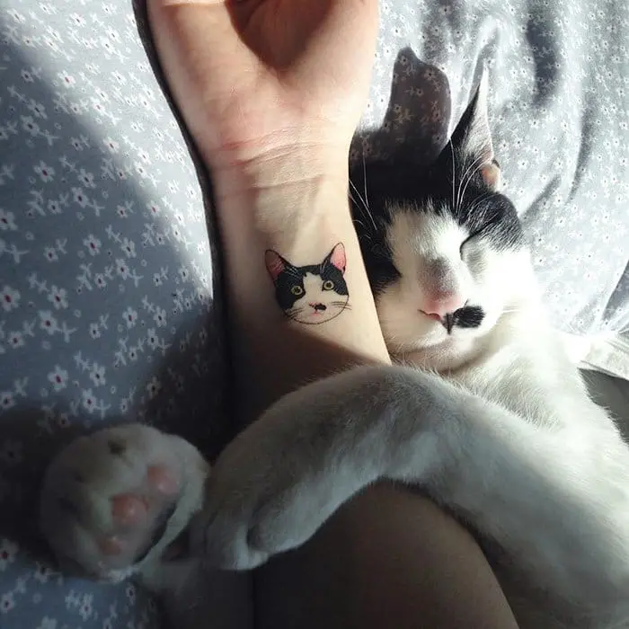 cat next to cat tattoo