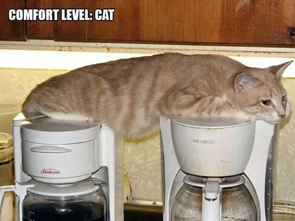 cat resting on two coffee machines