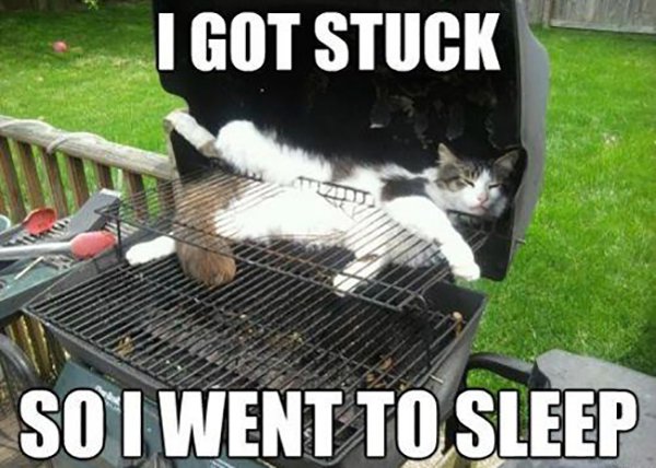 cat sleeping in barbeque