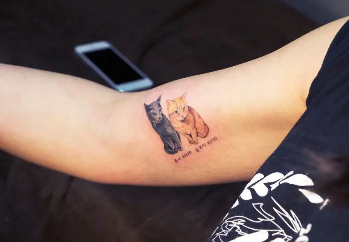 cat tattoos