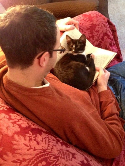 cats-and-books-sit