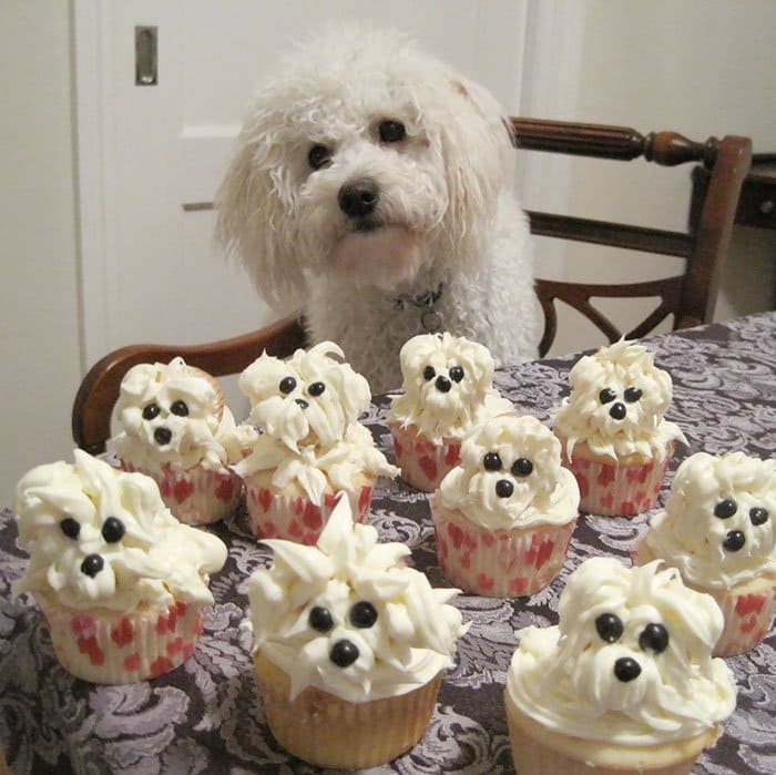dog cupcakes