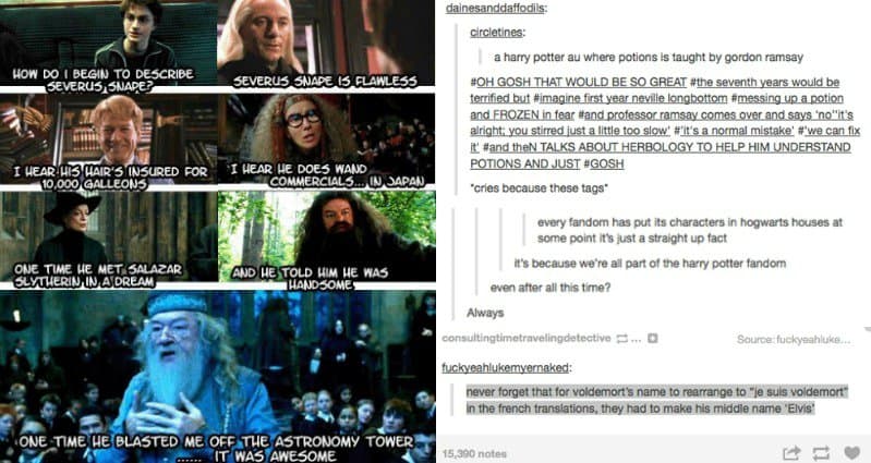 12 Posts That Prove The Harry Potter Fandom Is The Funniest And Weirdest  Ever