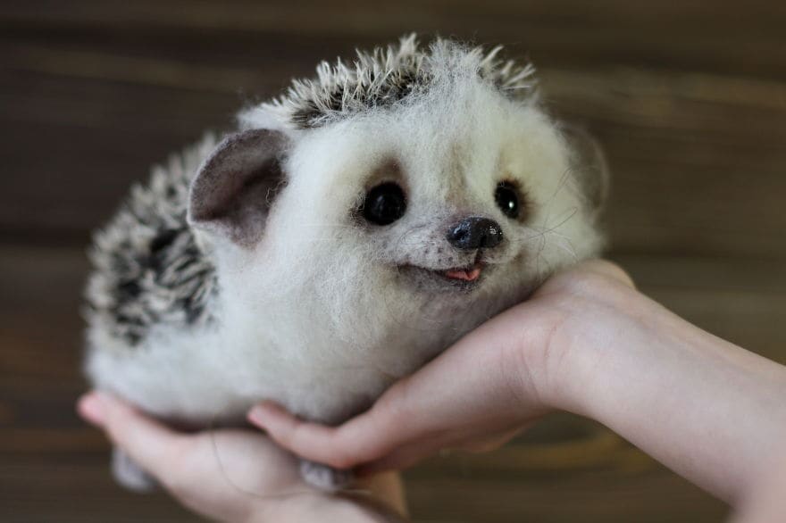 hedgehog