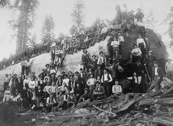 historical-photos-100-plus-with-giant-sequoia-1917