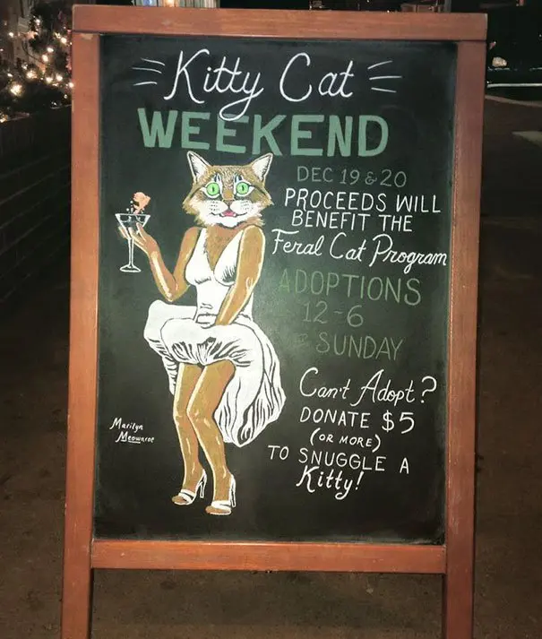 kitty-weekend