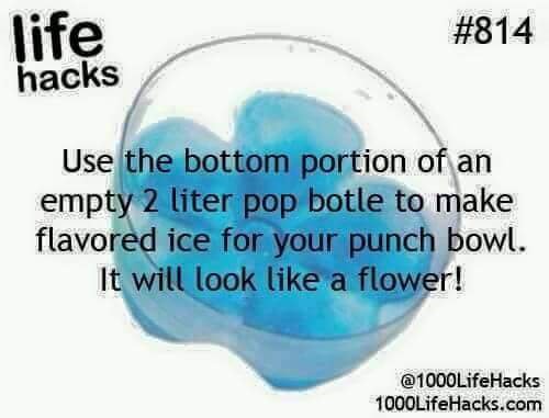 life-hacks-flower