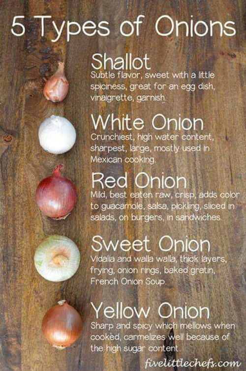 life-hacks-onion-types