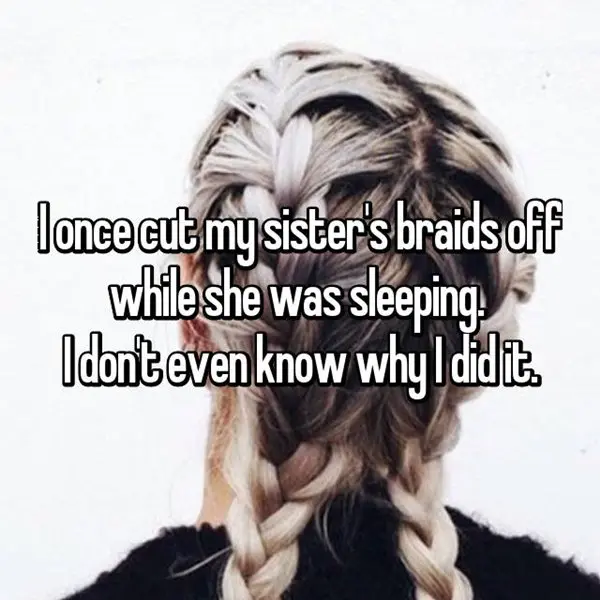 mean-siblings-braids