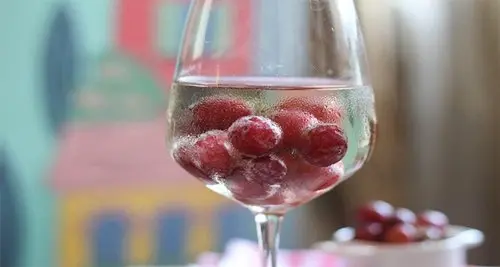 party-hacks-wine-cool-frozen-fruit