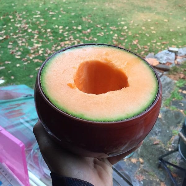 perfect-fit-melon-bowl