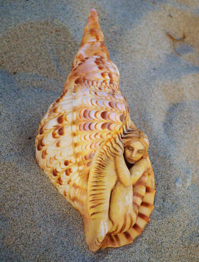 sculptures-debra-bernier-curled-in-shell
