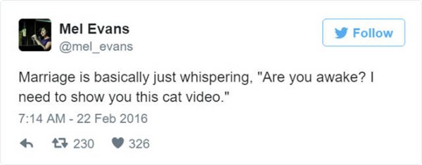 tweets-about-marriage-cat-video