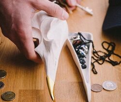 bird-skull-jewellery-box