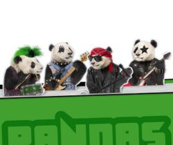 rock-pandas-magnetic-bookmarks