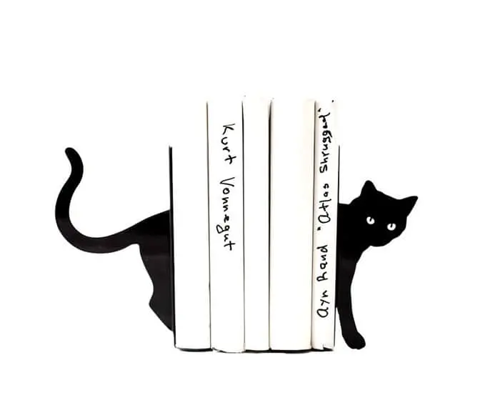 beautiful-bookends-kitty