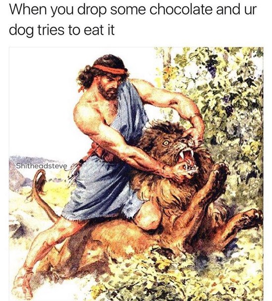 classical-art-memes-dog-tries-to-eat-chocolate