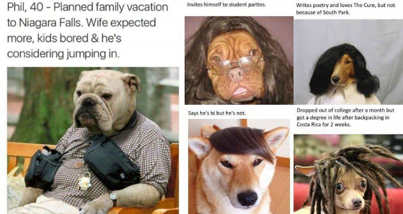 dogs-as-humans