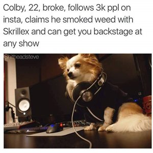 dogs-as-people-dj-colby