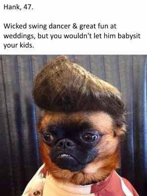 dogs-as-people-quiff-hank