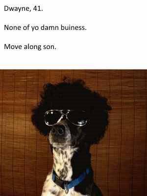 dogs-as-people-too-cool-dwayne