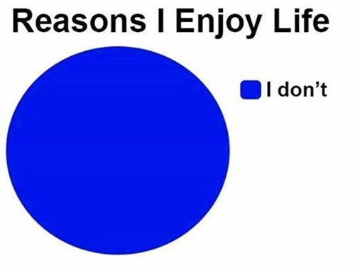 existential-angst-pie-chart-dont-enjoy-life