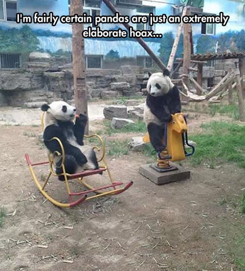 funny-animal-pictures-elaborate-hoax-pandas