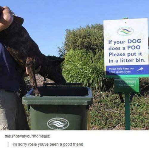 funny-animal-pictures-put-it-in-bin