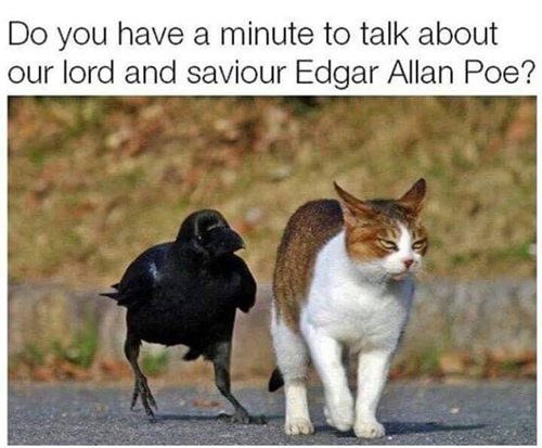 funny-animal-pictures-talk-about-edgar-allen-poe