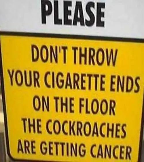 funny-signs-cockroach-cancer