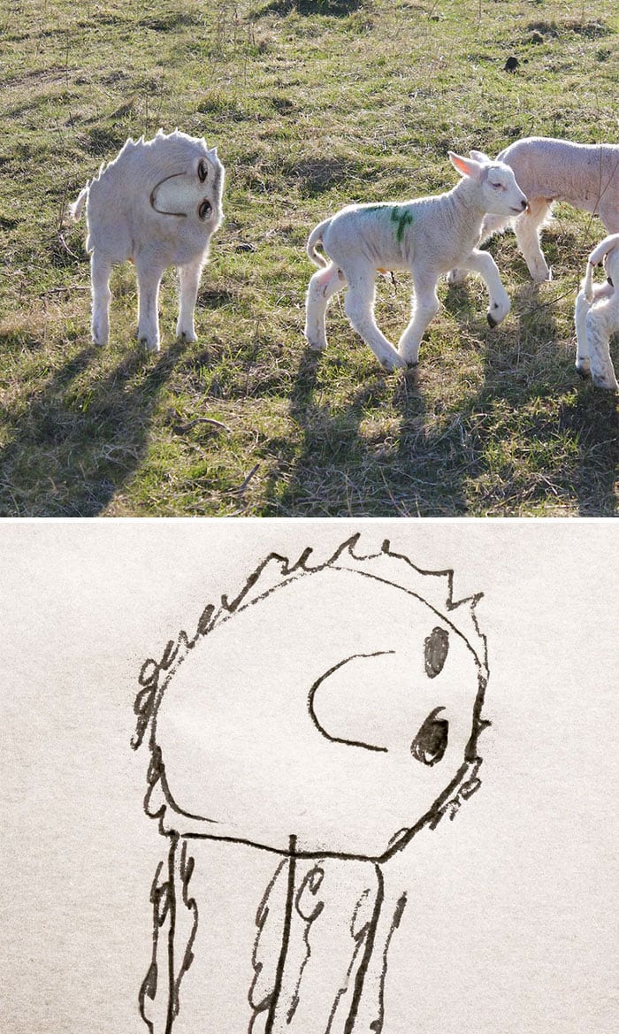 kid-drawings-realistic-lamb