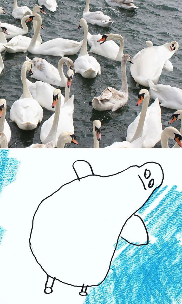 kid-drawings-realistic-swan