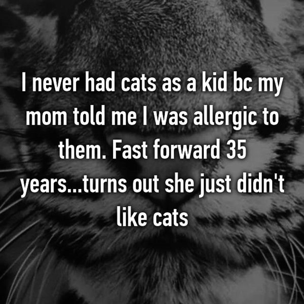 lies-parents-told-kids-no-cats