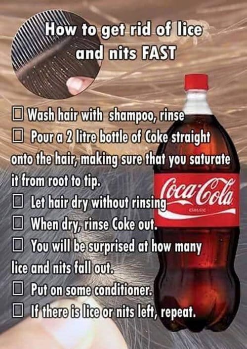 life-hacks-cola-nits