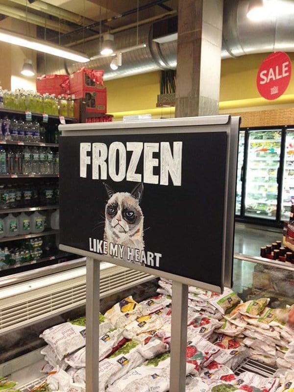 marketing-genius-frozen-grumpy-cat