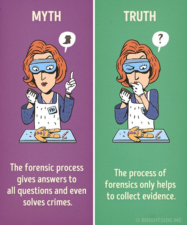 movies-myths-forensics