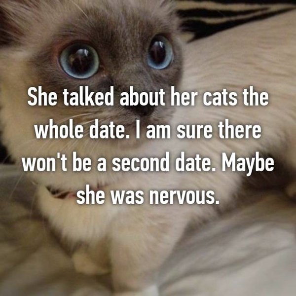 no-second-date-talked-about-cats