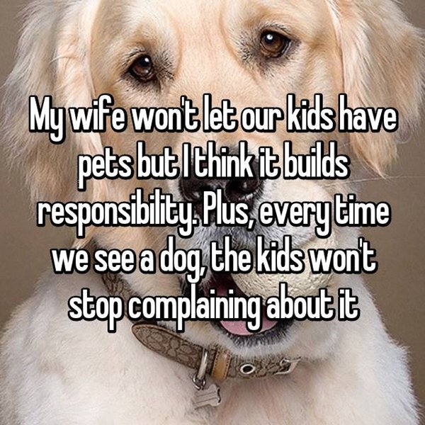 parenting-disagreements-pets