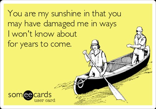 someecards-partner-sunshine-damaged