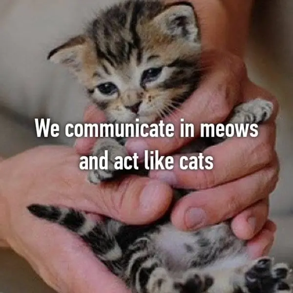 weird-bff-things-meows
