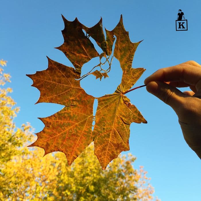 ballerina-leaf-drawing