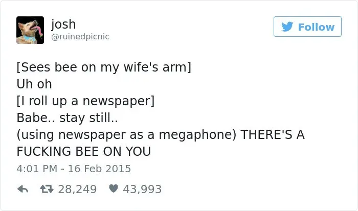 bee-on-wife-joke-tweet