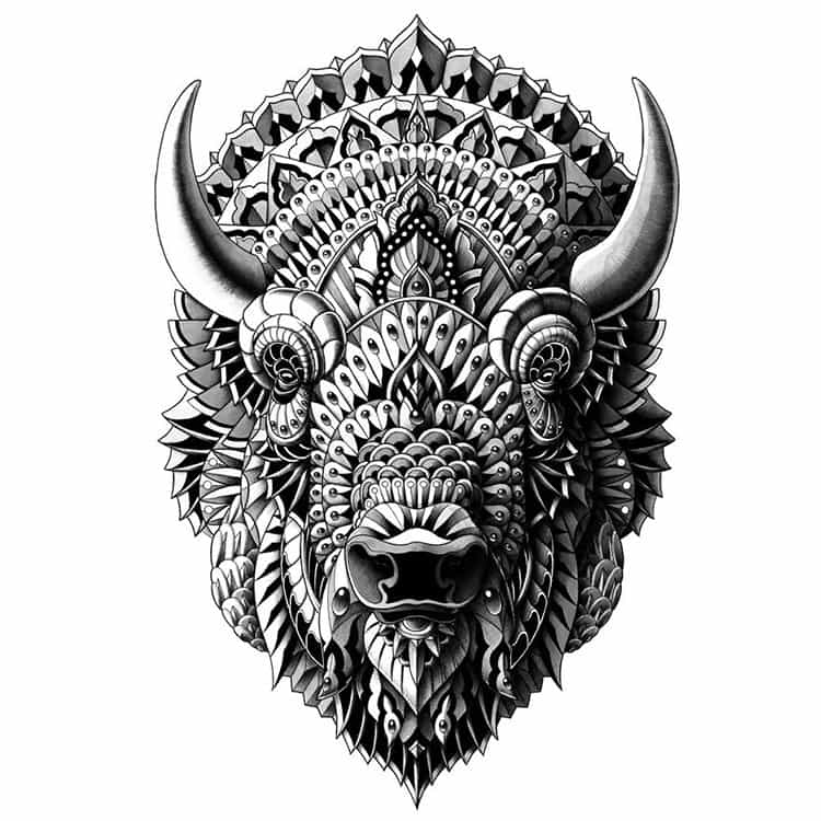 bison-paisley-drawing